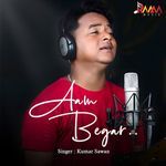 Aam Begar