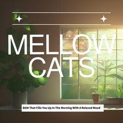 BGM That Fills You Up In The Morning With A Relaxed Mood