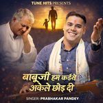 Babu Ji Hum Kaise Akele Chor Di