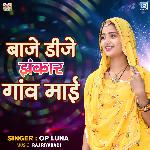 Baje DJ Zankar Gav Mai