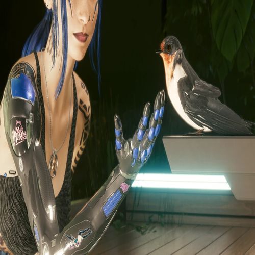 Bird Spirit cover art