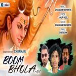 Boom Boom Bhola-01