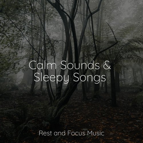 Calm Sounds &amp; Sleepy Songs_poster_image