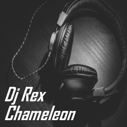 Chameleon cover art