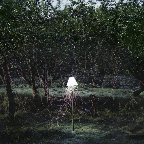 Preserve (Kim Ann Foxman Remix) cover art