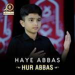 Haye Abbas