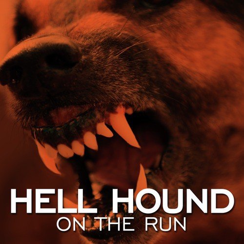 Hell Hound on the Run