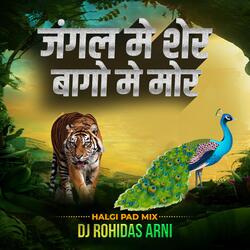 Jungle Mai Sher Bagon Mai Mor (Halgi Dance Mix)-OgAaVEYIT3E