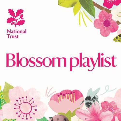 National Trust: Kingston Lacy’s Blossom Playlist