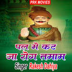 Pal Me Kat Ja Rog Tamam