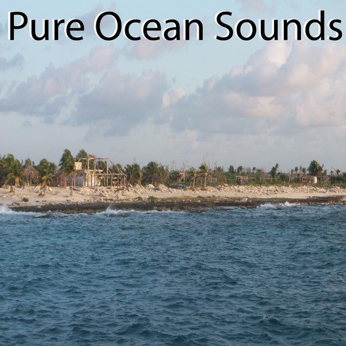  Sounds Of The Ocean