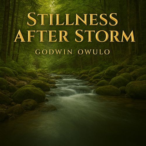Stillness After Storm