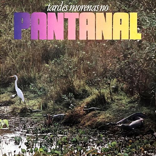 Tardes Morenas No Pantanal