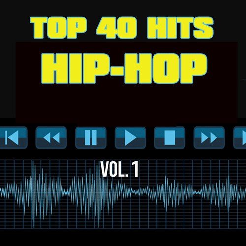 Top 40 Hits Hip Hop, Vol. 1