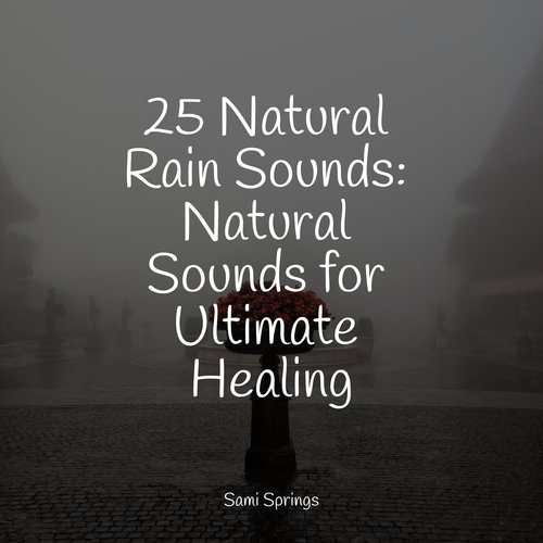 25 Natural Rain Sounds: Natural Sounds for Ultimate Healing