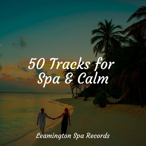 50 Tracks for Spa & Calm