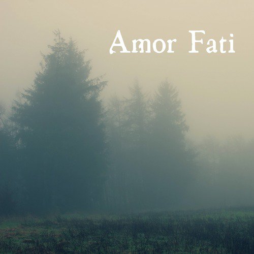 3 Amor fati Quotes  Sayings with Wallpapers  Posters  QuotesPub