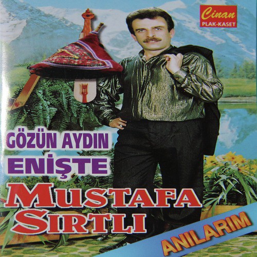 Gözün Aydın Enişte cover art
