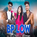 BP LOW