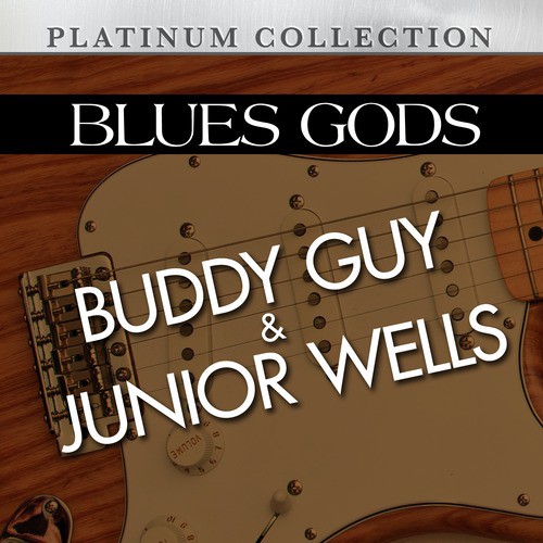 Blues Gods: Buddy Guy &amp; Junior Wells_poster_image