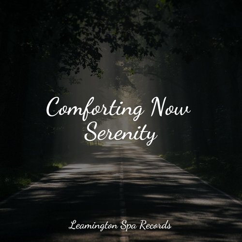 Comforting Now Serenity