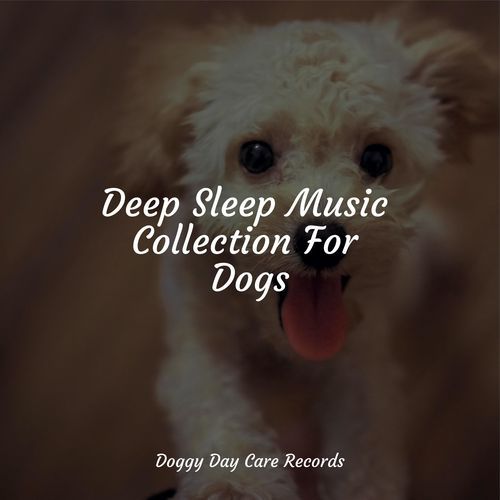 Deep Sleep Music Collection For Dogs_poster_image