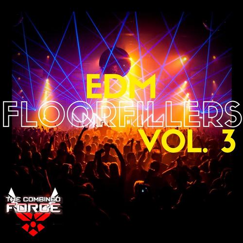 EDM FloorFillers Vol.3
