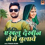 Ekhlu Dekhin Mese Bulave