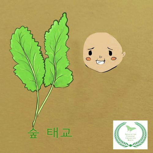 Forest Prenatal Culture cover art
