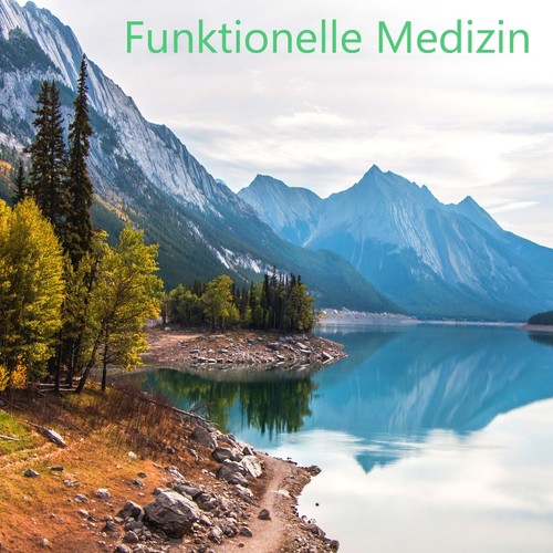 Anthroposophische Medizin cover art