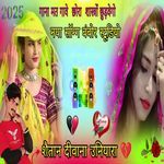 Gaana Mat Gaave Chora Shashtron Chudvego