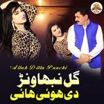 Gal Nibhawanr Di Hoi Ai