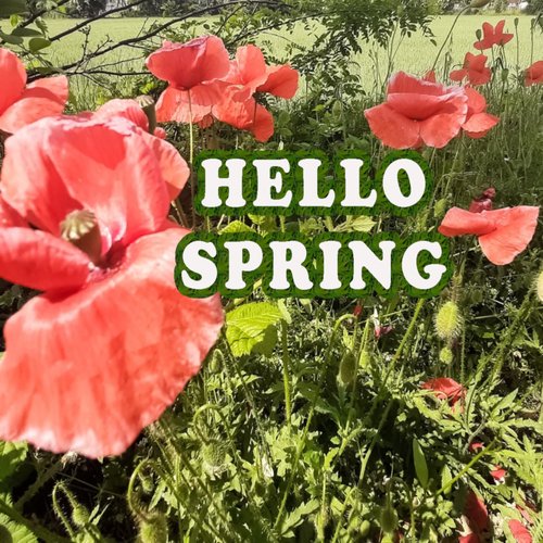 Hello Spring