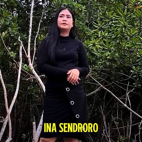 INA SENDRORO cover art
