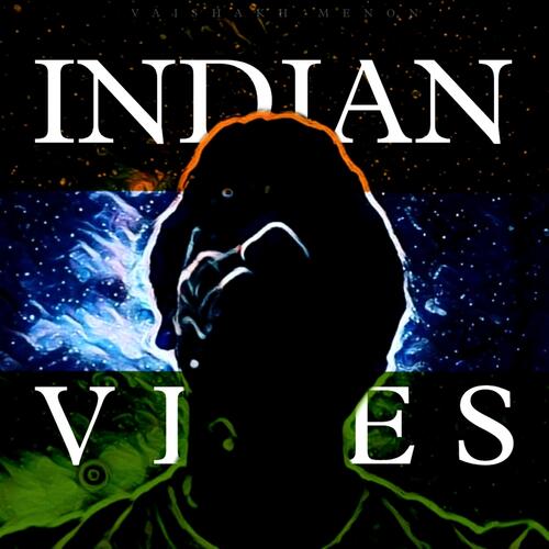 INDIAN VIBES_poster_image