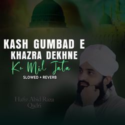 Kash Gumbad e Khazra Dekhne Ko Mil Jata (Lofi-Mix)-IRE-CTB0dgA