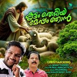Koottamthettiya Mesham Njan