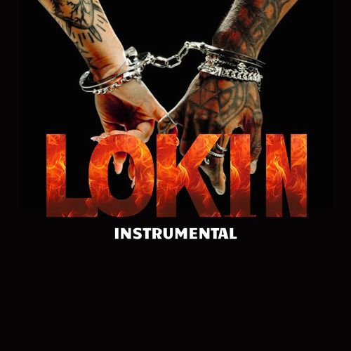 Lokin
