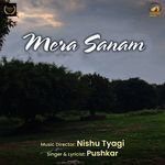 Mera Sanam