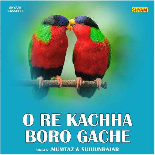 O Re Kachha Boro Gache