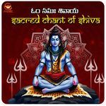 Om Namah Shivaya