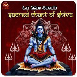 Om Namah Shivaya