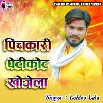 Pichkari Petikote Khojela