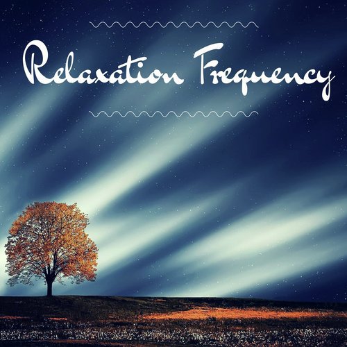 Relaxation Frequency - Music for Office and Work