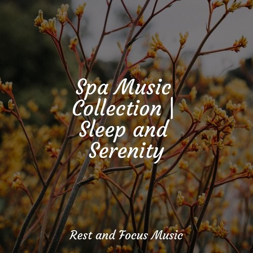 Spa Music Collection | Sleep and Serenity_poster_image