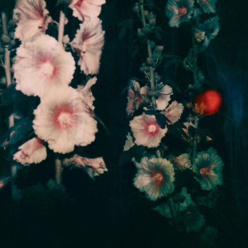 Still Life (Eli & Fur Remix) cover art