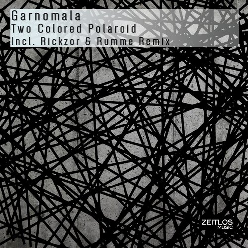 Two Colored Polaroid (Rickzor & Rumme Remix) cover art