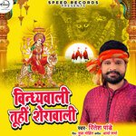 Vindhaywali Tuhi Sherawali