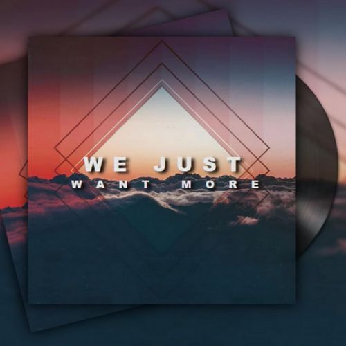 We Just Want More
