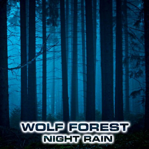 Wolf Forest Sleep (feat. Nature Sounds FX, Atmospheres Sounds, Calming Nature Sound FX, Forest Atmosphere Sounds, Rain Atmosphere Sounds & White Noise Sound FX) cover art